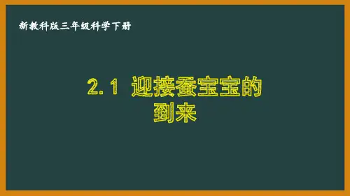 三年级科学下册第二单元新教科版《动物的一生》全部课件(共8课时)