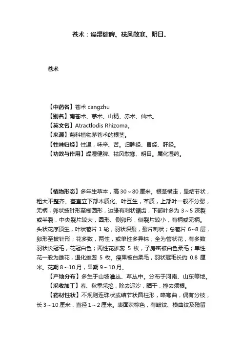 苍术：燥湿健脾、祛风散寒、明目。