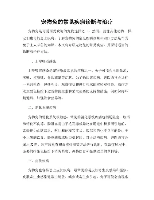 宠物兔的常见疾病诊断与治疗