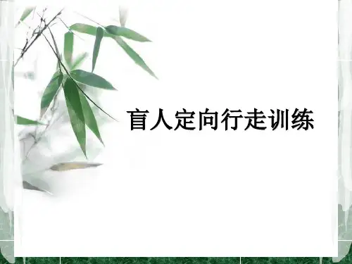 盲人定向行走训练(1015)