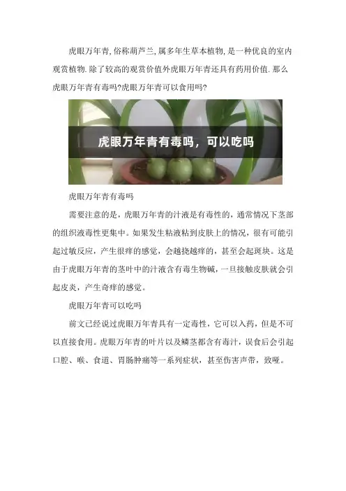 虎眼万年青有毒吗,可以吃吗