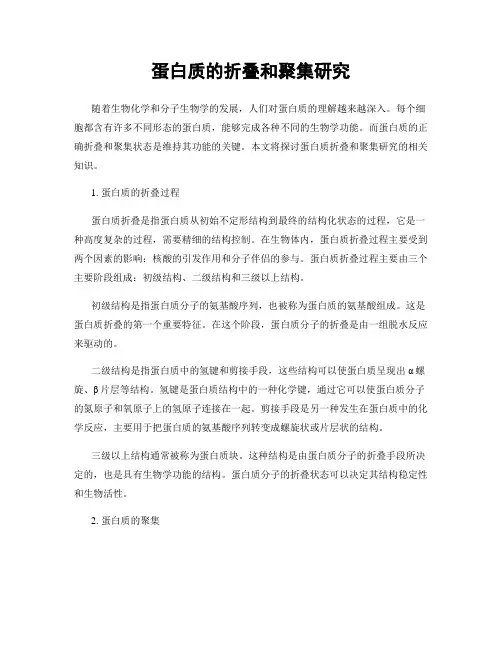 蛋白质的折叠和聚集研究
