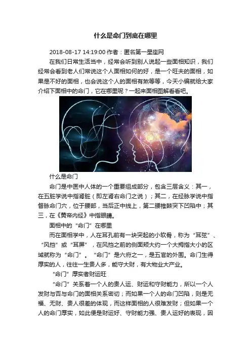 什么是命门到底在哪里