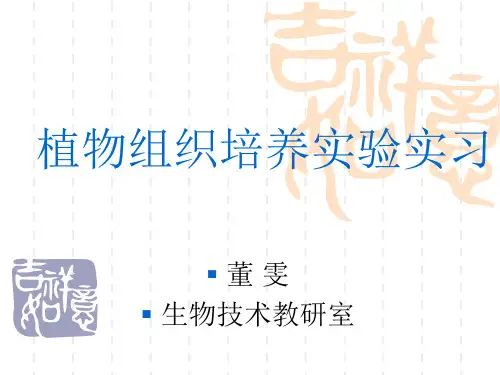 植物组织培养实验