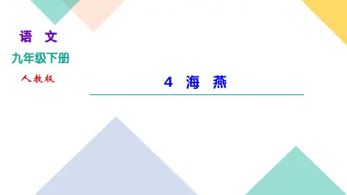 九年级语文部编版下册    4《海 燕》习题课件(30张PPT)