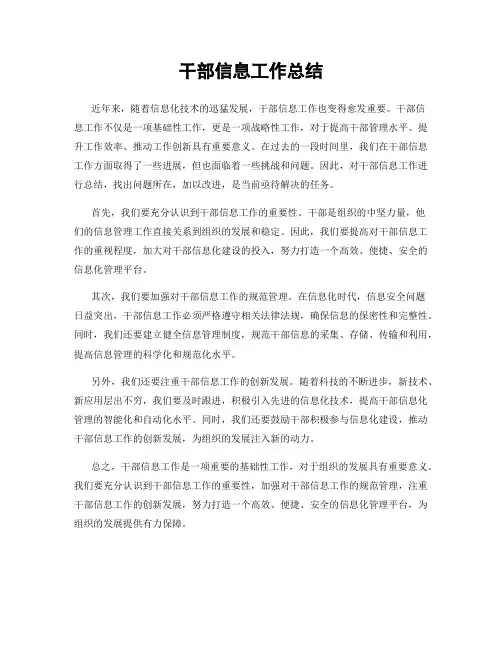 干部信息工作总结