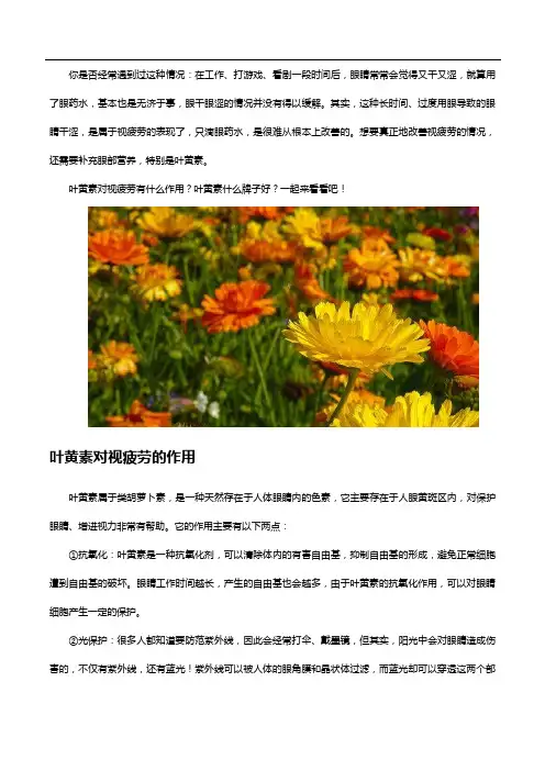 叶黄素什么牌子好,眼干眼涩看这款
