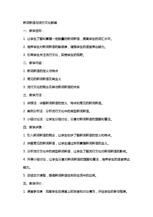 新词新语与流行文化教案