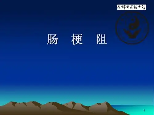 肠梗阻