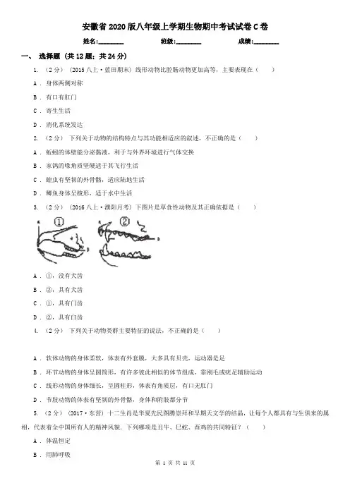 安徽省2020版八年级上学期生物期中考试试卷C卷