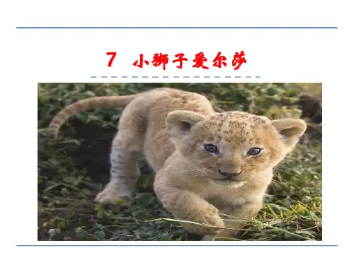 四年级下册语文课件-7小狮子爱尔莎_冀教版 (共23张PPT)