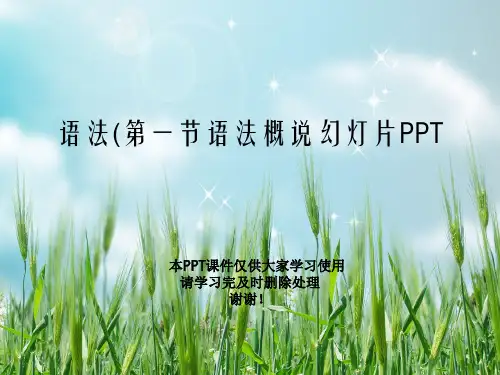 语法(第一节语法概说幻灯片PPT
