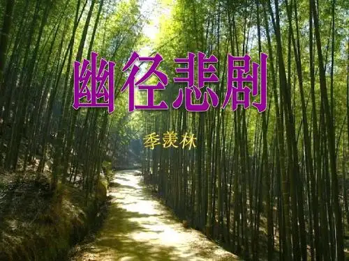《幽径悲剧》 精品课件(共14张)