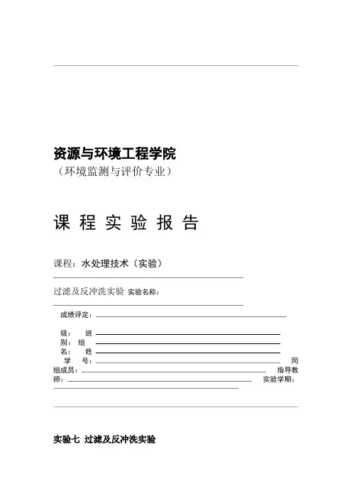 过滤及反冲洗试验报告书