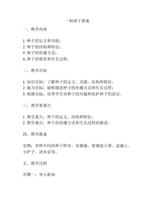 一粒种子教案