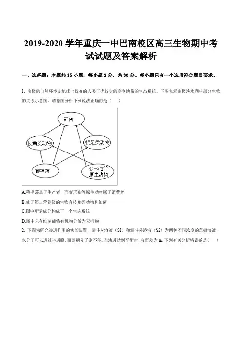 2019-2020学年重庆一中巴南校区高三生物期中考试试题及答案解析