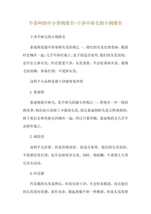 不喜叫的中小型狗排名-干净不掉毛的小狗排名