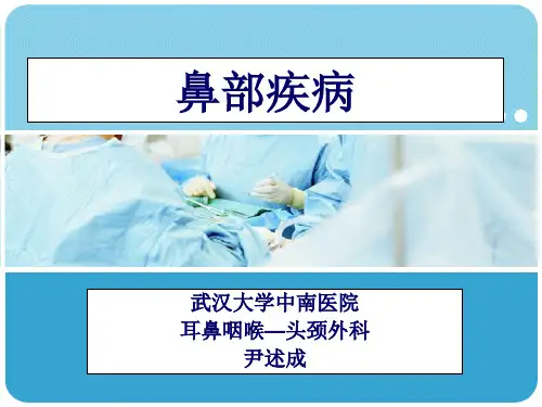鼻部疾病-尹ppt课件