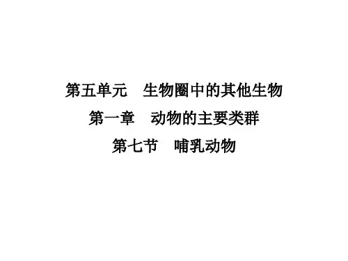 《哺乳动物》课件(人教版生物)