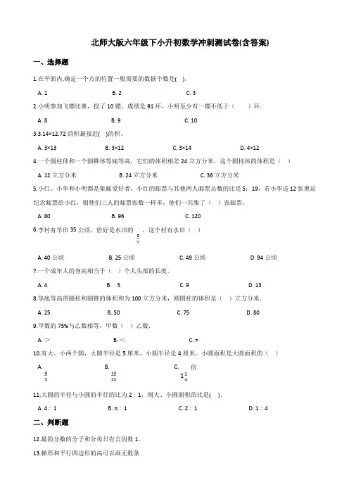 北师大版小升初数学测试卷(含答案)【精品】