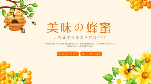 蜂蜜行业工作汇报PPT模板