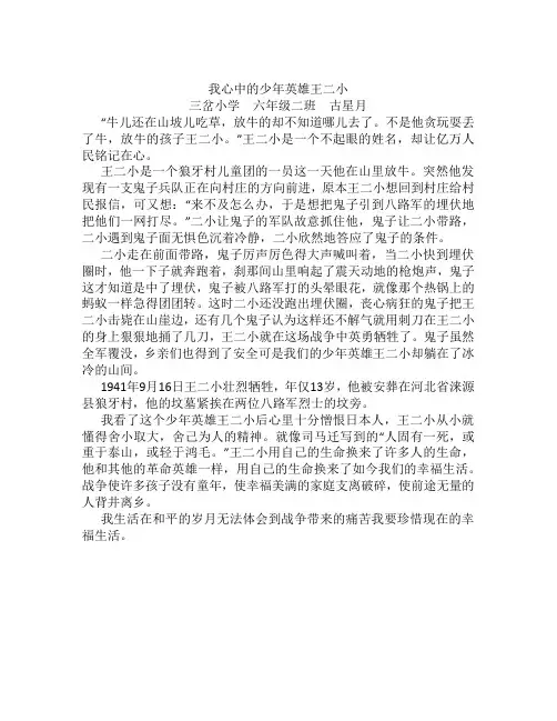 我心中的少年英雄王二小