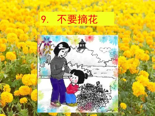 看图写话训练09不要摘花