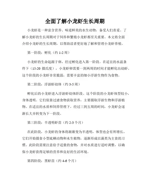 全面了解小龙虾生长周期