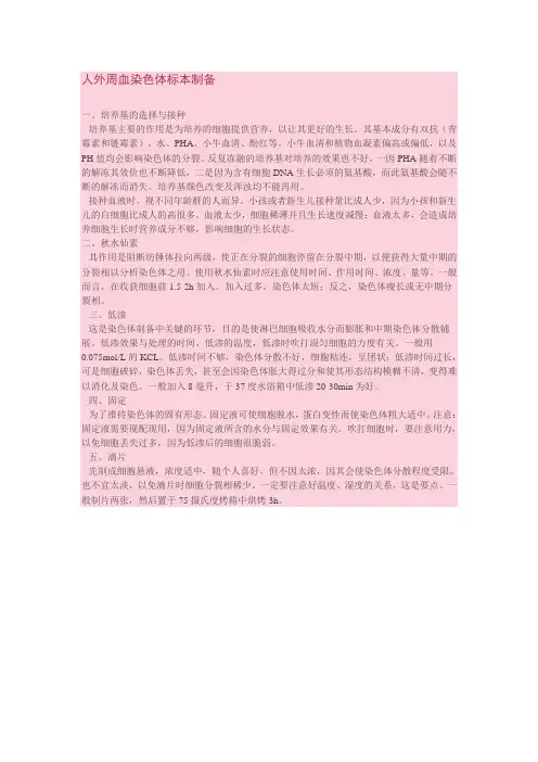 人外周血染色体标本制备