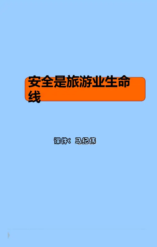 景区安全事故案例分享