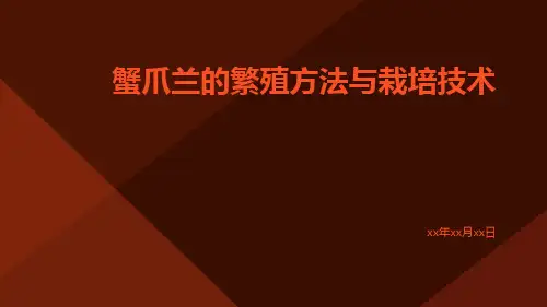 蟹爪兰的繁殖方法与栽培技术