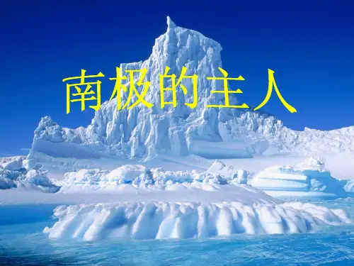 《南极的主人》PPT课件