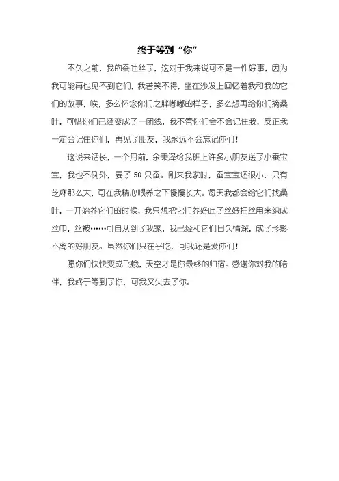 六年级作文：终于等到“你”作文350字