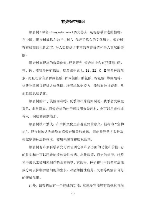 有关银杏知识