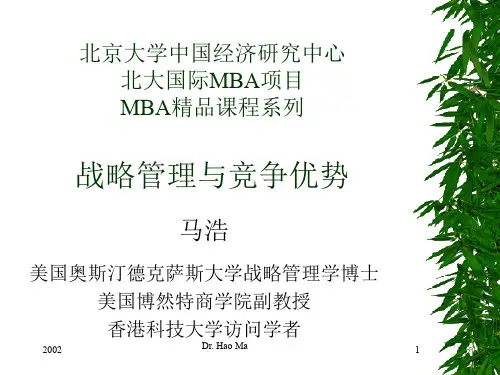战略管理与竞争优势培训讲义(ppt 176页)