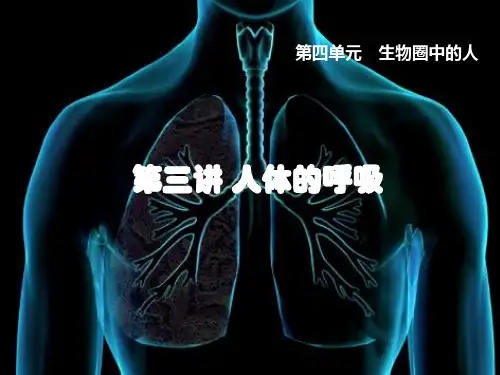 人教版初中生物总复习：人体的呼吸(复习) 课件(共25张PPT)