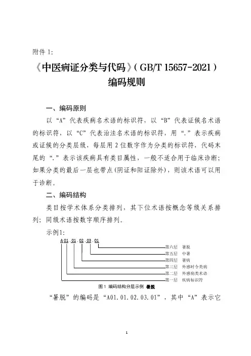 2021版《中医病证分类与代码》编码规则