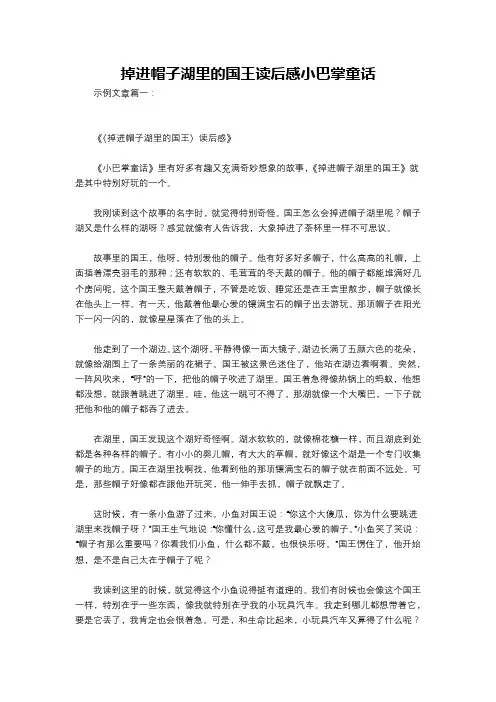 掉进帽子湖里的国王读后感小巴掌童话