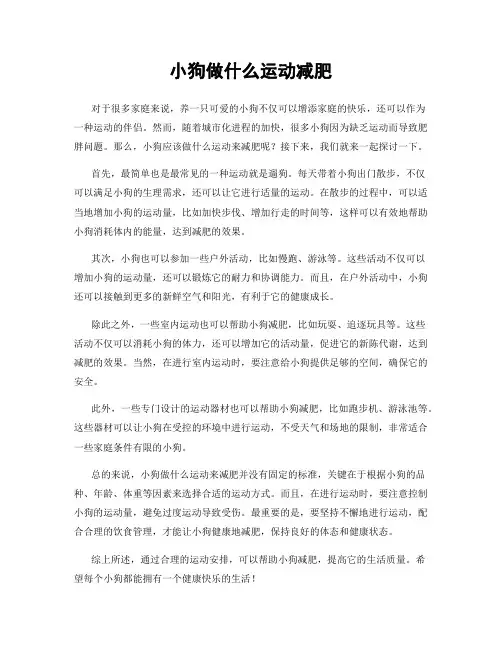 小狗做什么运动减肥