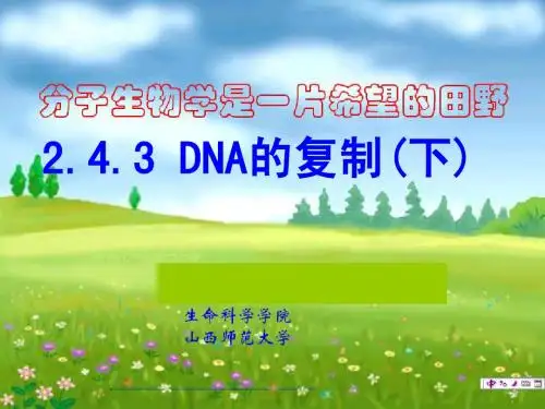 郜刚分子生物学-05-DNA半不连续复制与修复