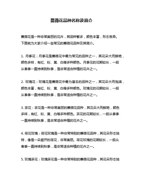 蔷薇花品种名称及简介