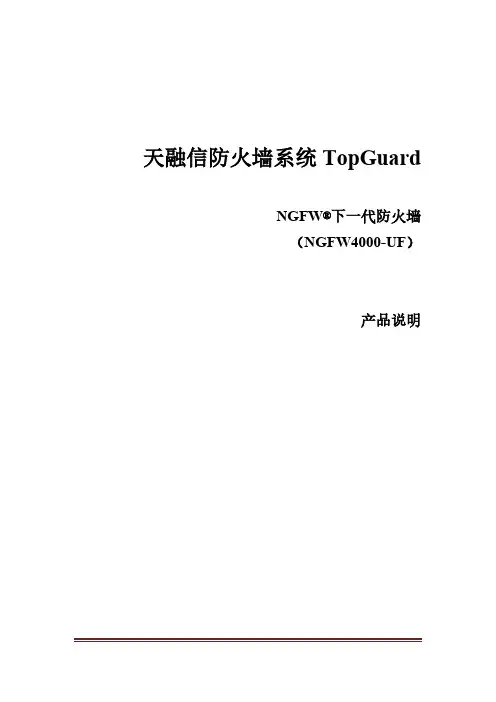 技术说明书-天融信防火墙系统