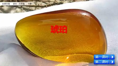 六年级下册语文课件-第四单元 琥珀 北师大版(共60张PPT)