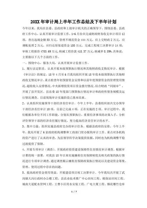 2019年审计局上半年工作总结及下半年计划