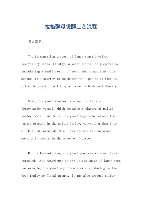 拉格酵母发酵工艺流程