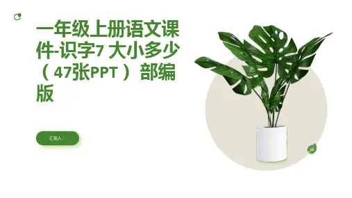 一年级上册语文课件-识字7 大小多少(47张PPT) 部编版