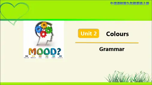 译林版九年级英语上册Unit 2 Colours Grammar 示范公开课教学课件