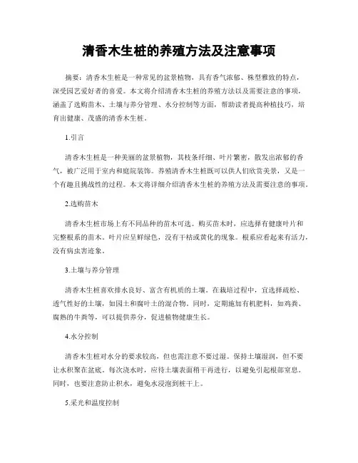 清香木生桩的养殖方法及注意事项
