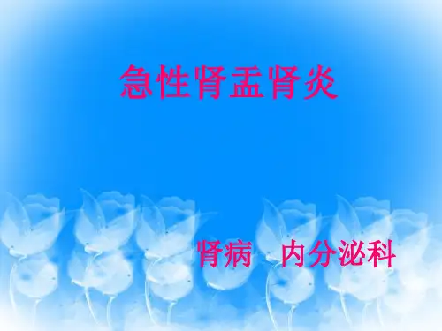 急性肾盂肾炎PPT ppt课件