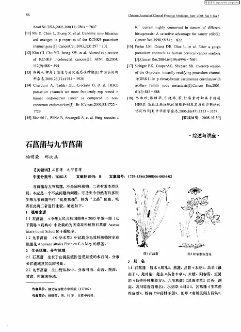 石菖蒲与九节菖蒲